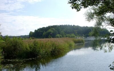 Traces of the Silk Road in Northwest Europe