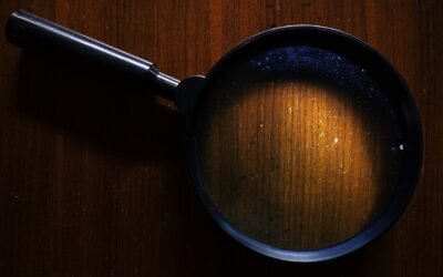 Mrs Holmes Taught Sherlock all he Knew: Uncovering the Truth about Victorian Women Detectives